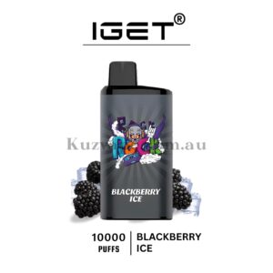 IGET Bar Pro 10000 Puffs Blackberry Ice