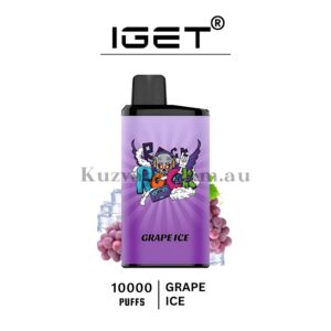 IGET Bar Pro 10000 Puffs Grape Ice