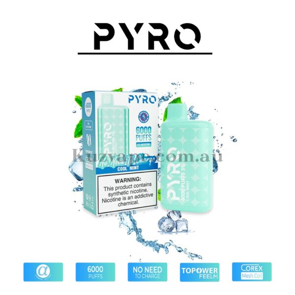 PYRO Vape 6000 Puffs 5% Cool Mint